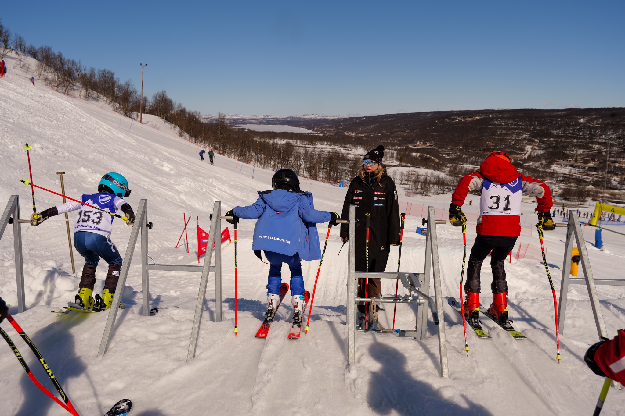 En bild