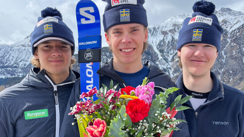 Det svenska JVM-laget