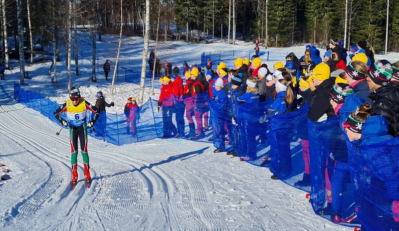 En bild