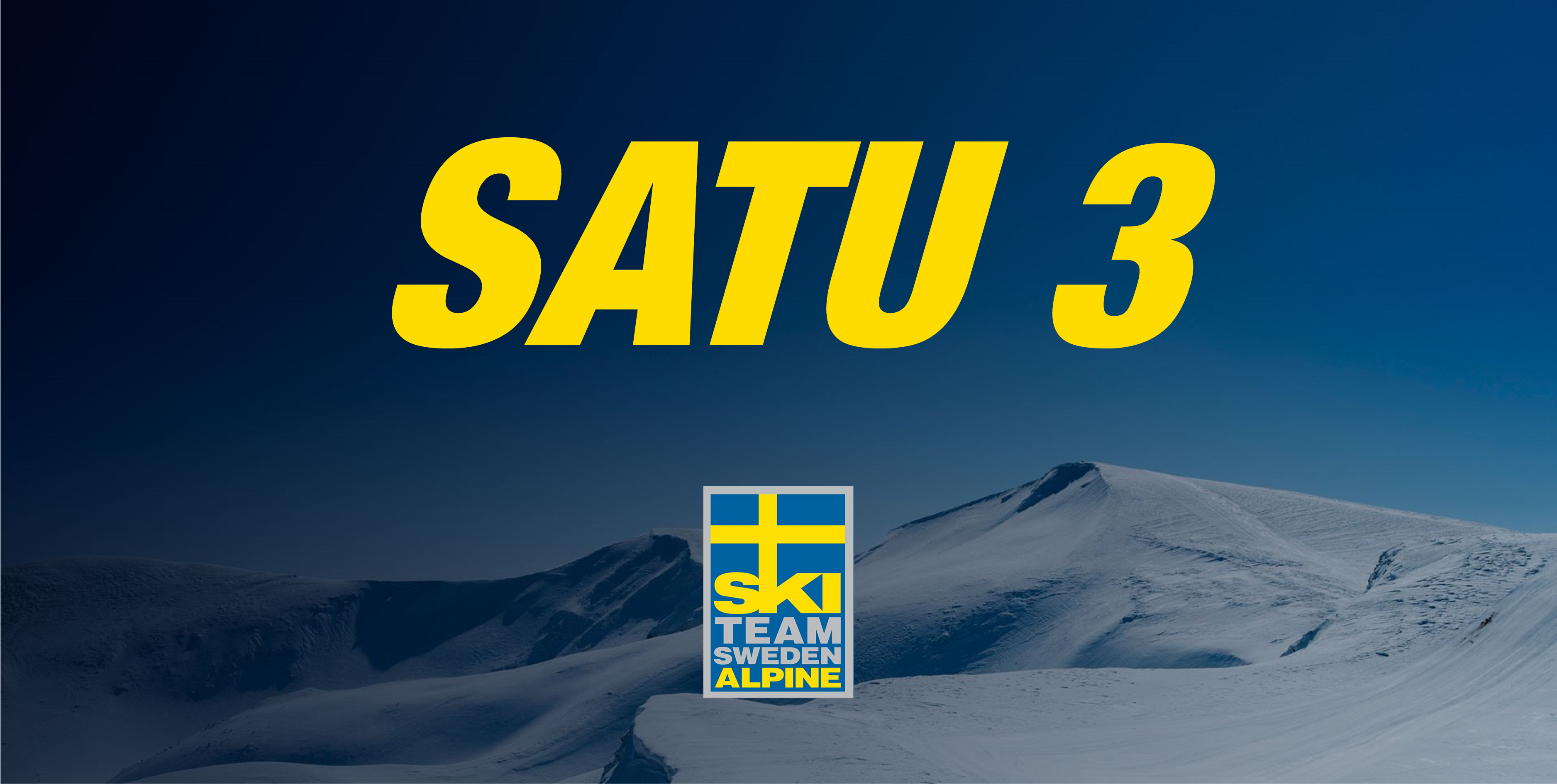 En bild