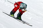 Agnes Abrahamsson Speedski Foto TamTam
