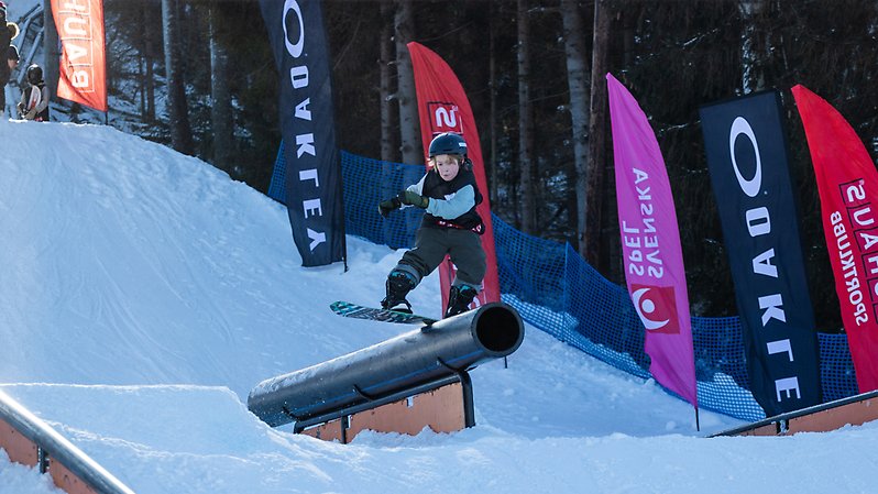 En bild