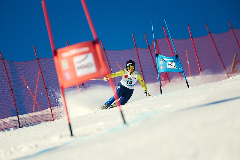 Telemarkåkaren Karin Abrahamsson. Foto: Sam Decout/FIS.